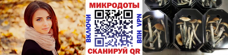 Псилоцибиновые грибы прущие грибы Карпинск